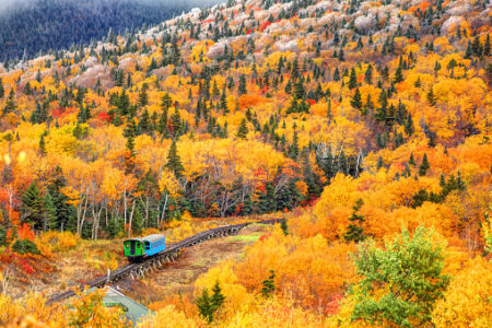 Ferrovia Vigezzina Centovalli: il treno del foliage