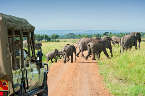 safari in africa costo andBeyond   safari in africa con bambini   safari in africa dove andare   safari in africa consigli   safari in africa quando andare   safari in africa quanto costa 