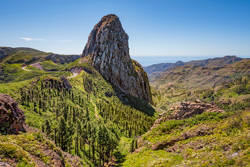 La Gomera: scopriamo il 'Jurassic Park' delle Canarie