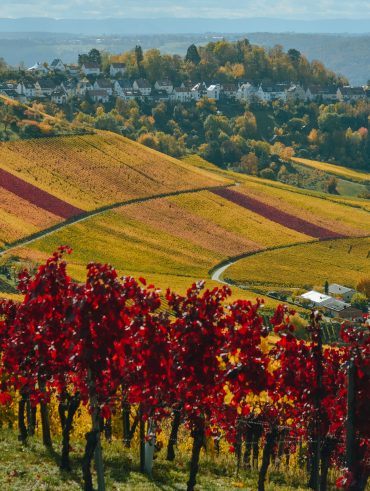 Le Langhe e i suoi meravigliosi borghi, cosa vedere e i prodotti tipici