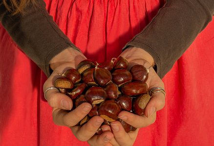 Dove andare a castagne in Basilicata?