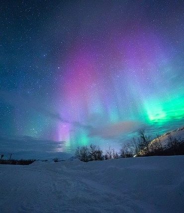 Dove vedere l'aurora boreale e quando: a gennaio, nel 2022, in Norvegia e molto altro